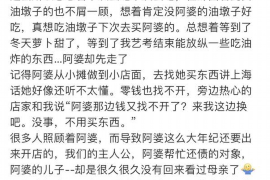 虹口为什么选择专业追讨公司来处理您的债务纠纷？